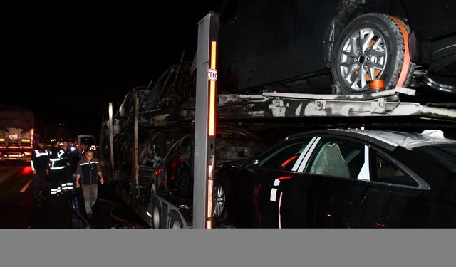 Bilecik'te otomobil yüklü tırda yangın çıktı