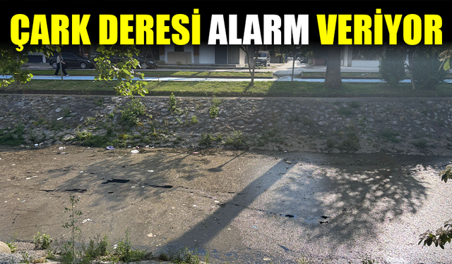 Çark Deresi’nde Kirlilik Alarmı: Vatandaşlar Temizlik Bekliyor