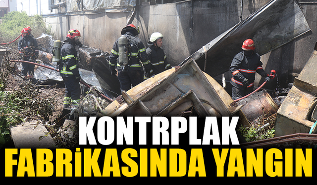 Kontrplak fabrikasında yangın çıktı!