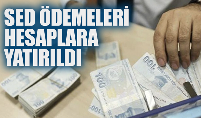 Şubat Ayı SED Ödemeleri Hesaplara Yatırıldı