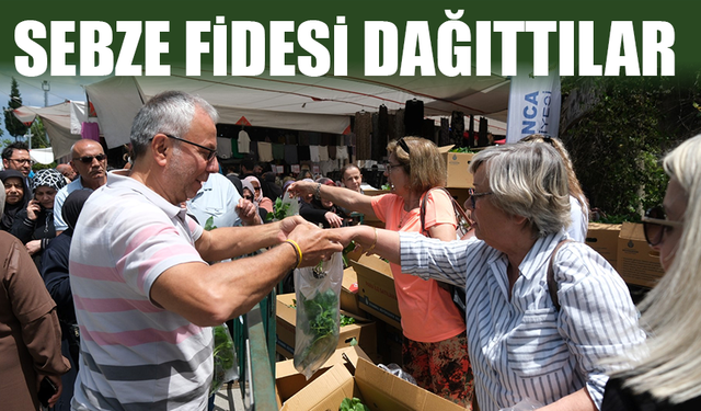Üretime destek için sebze fidesi dağıttılar