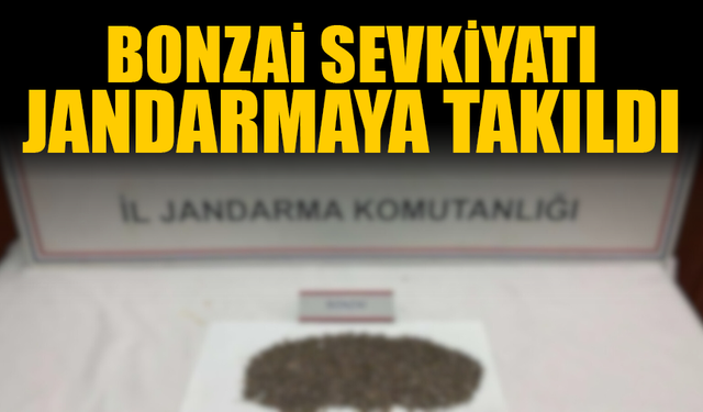 Bon*zai Sevkiyatı Jandarmaya Takıldı
