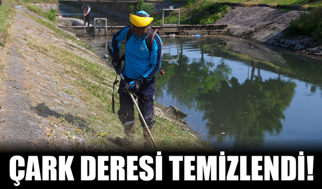 Haberimiz Ses Getirdi: SASKİ, Çark Deresini Temizledi