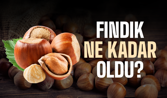 22 Mart 2026 Sakarya Fındık Fiyatları