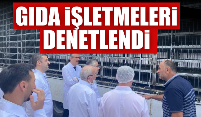 Sakarya'da gıda işletmelerine denetim!
