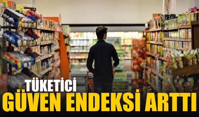 Ekonomik güven endeksi şubatta arttı