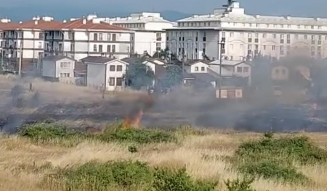 Kuş Elektrik Tellerine Çarptı, Bahçelerde Yangın Çıktı