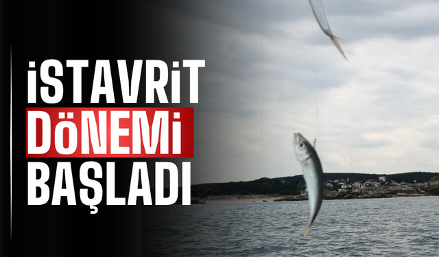 Karasu ve Kaynarca’da İstavrit Bereketi