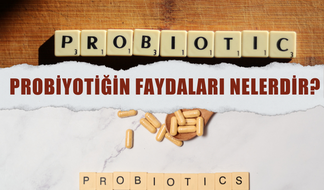 Probiyotiğin Faydaları Nelerdir? Probiyotik Ne İşe Yarar?