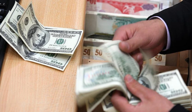 Hollanda'dan Türk Lirası için dolar/TL tahmini