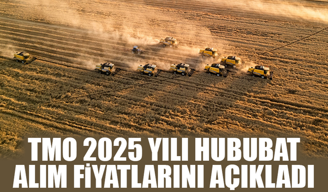 TMO 2025 Yılı Hububat Alım Fiyatlarını Açıkladı: Buğday ve Arpa Fiyatları Netleşti