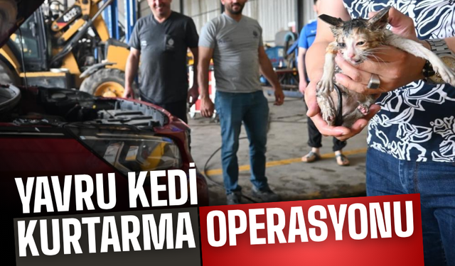 Otomobil Motoruna Sıkışan Yavru Kedi Kurtarıldı
