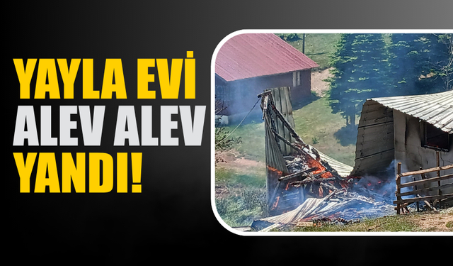 Hendek Çiğdem Yaylası’nda Korkutan Yangın