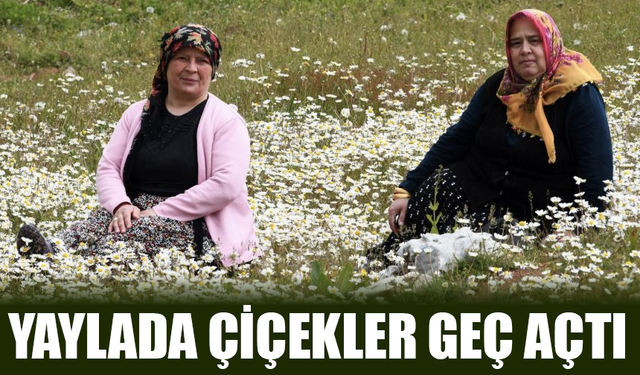 Dikmen Yaylası'nda Bahar Geç Geldi
