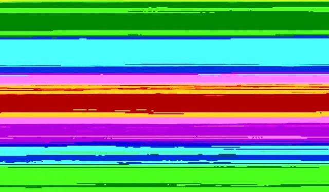 Edirne'de 15 Temmuz'un yıl dönümünde yurt dışına kaçmak isteyen FETÖ şüphelilere yakalandı