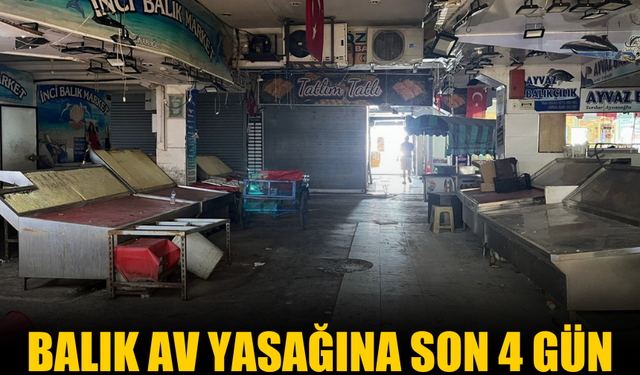 Balık Av Yasağına Son 4 Gün
