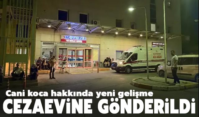 Cani koca cezaevine gönderildi!