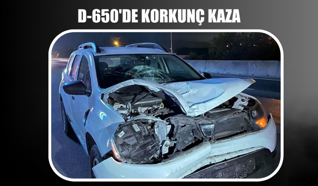 D-650'de korkunç kaza