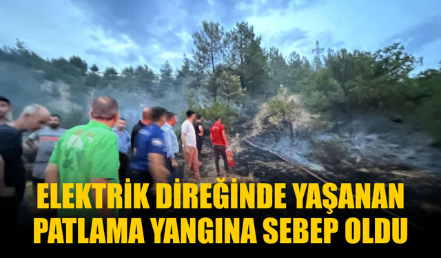 Elektrik Direğindeki Patlama Yangına Neden Oldu