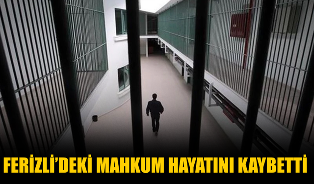 Ferizli Kapalı Cezaevi’nde Mahkum Hayatını Kaybetti