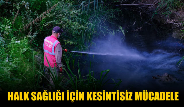 Serdivan’da Halk Sağlığı İçin Kesintisiz İlaçlama Çalışmaları