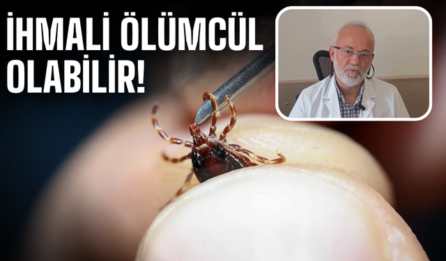 İhmali Ölümcül Olabilir! Prof. Dr. Aziz Öğütlü’den Kırım Kongo Uyarısı