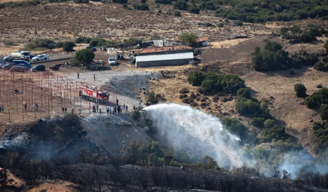 İzmir’de iki orman yangını kontrol altına alındı