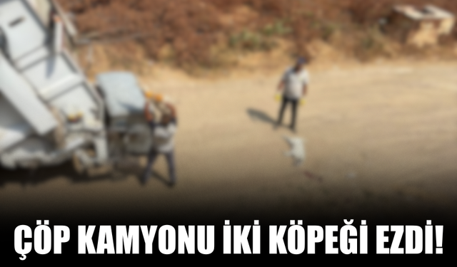Karapürçek’te Çöp Kamyonu İki Köpeği Ezdi