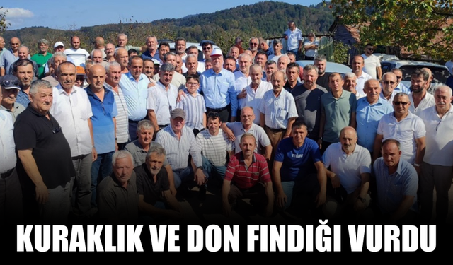 Kuraklık ve don fındığı vurdu