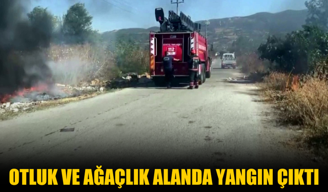 Geyve'de otluk ve ağaçlık alanda yangın çıktı!
