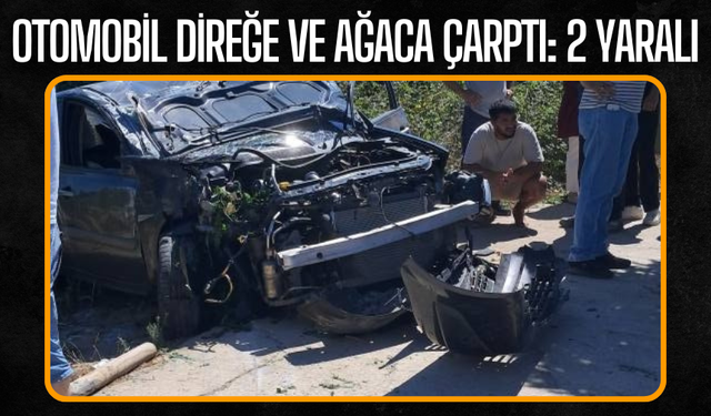 Karasu’da Otomobil Direğe ve Ağaca Çarptı: 2 Yaralı