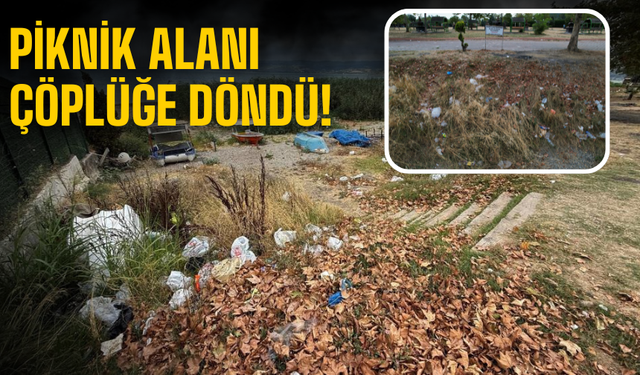 Piknik alanı çöplüğe döndü!