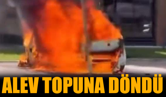 Park halindeki otomobil alev topuna döndü