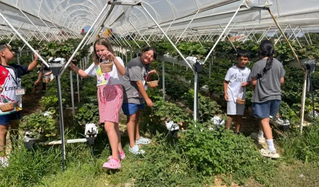 Çocuklar Doğayla Buluştu: Taşlık Çiftlik Köy Doğa Yaz Okulu Tamamlandı