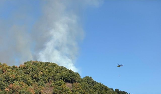Düzce ve Bursa’da Orman Yangınlarına Havadan ve Karadan Müdahale