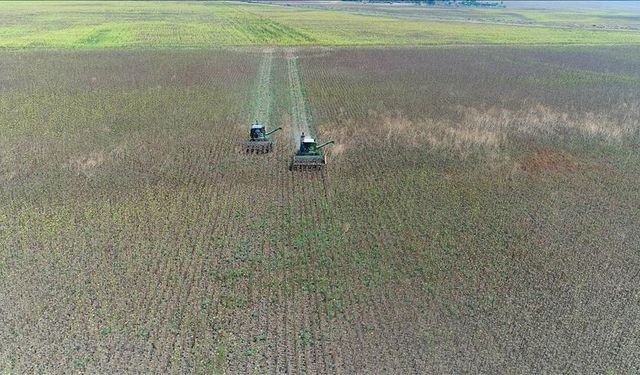 İşlenmeyen Tarım Arazileri Ekonomiye Kazandırılıyor: İlk Kiralamalar Kasım’da Başlayacak