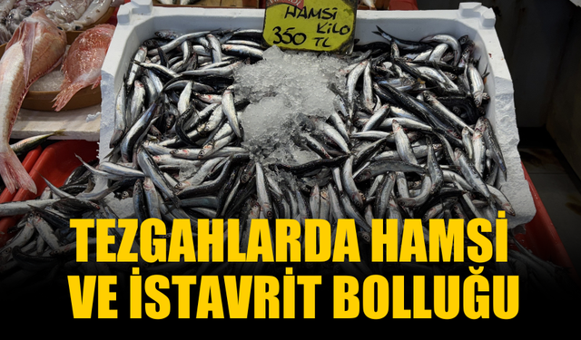 Sezon açıldı, tezgahlarda hamsi ve istavrit bolluğu