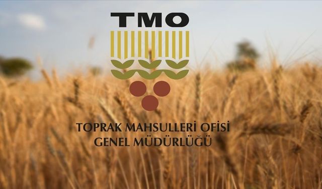 TMO, Üreticilere 5,2 Milyar Lira Ödeme Yaptı