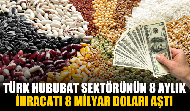 Türk Hububat Sektörünün 8 Aylık İhracatı 8 Milyar Doları Aştı
