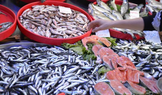 Mevsimin En Lezzetli Balıkları Tezgâhlarda: Hamsi ve Sardalya’ya Yoğun İlgi
