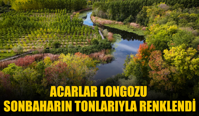 Acarlar Longozu sonbaharın tonlarıyla renklendi