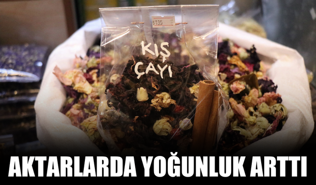 Aktarlarda yoğunluk arttı
