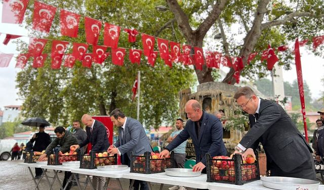 Bilecik'te 6. İnhisar Nar Festivali düzenlendi