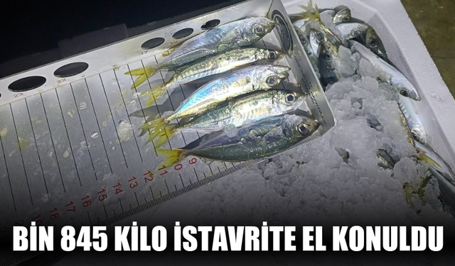 Bin 845 kilo istavrite el konuldu