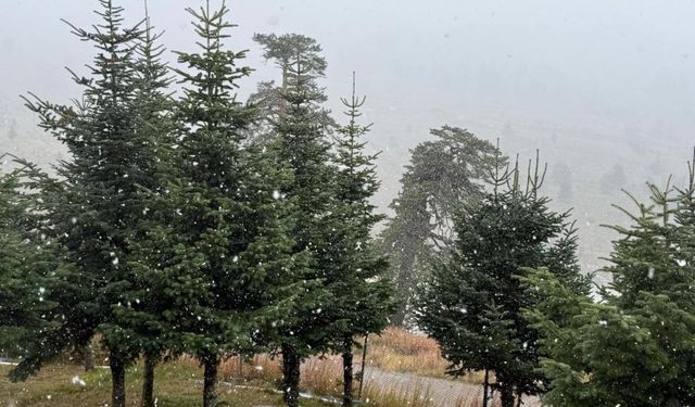 Bolu’da mevsimin ilk karı yağdı