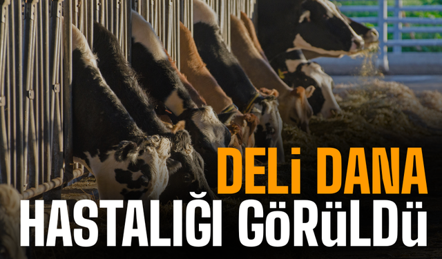 Komşuda “Deli Dana” Hastalığı Tespit Edildi