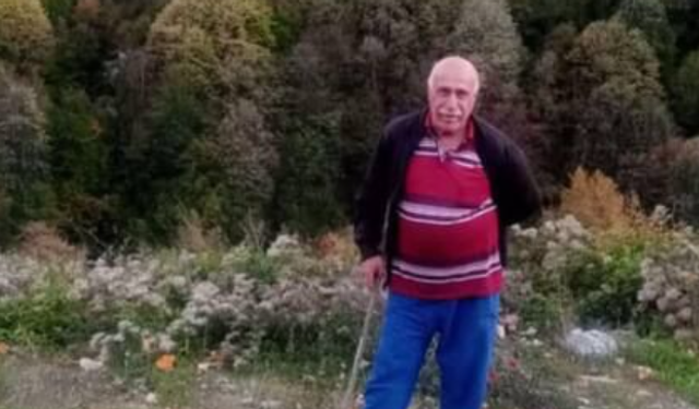 71 Yaşındaki Alişan Çelebi Hayatını Kaybetti