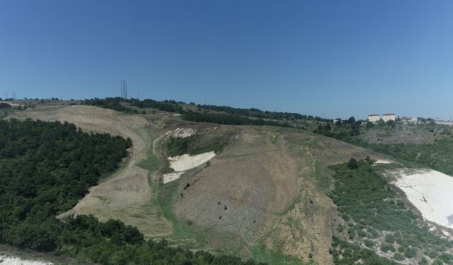 Kandıra'da 60 dönümlük alana 4 bin 500 fidan dikilecek