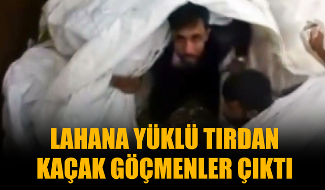 Bu kadarına pes! Lahana yüklü tırdan kaçak göçmenler çıktı...