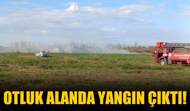 Otluk alanda yangın çıktı!